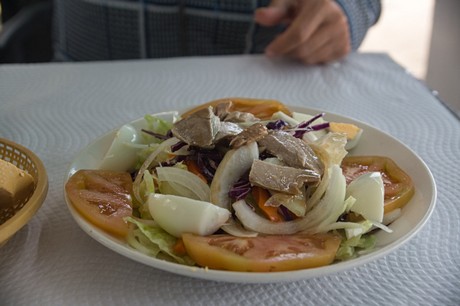 Conil de la Frontera